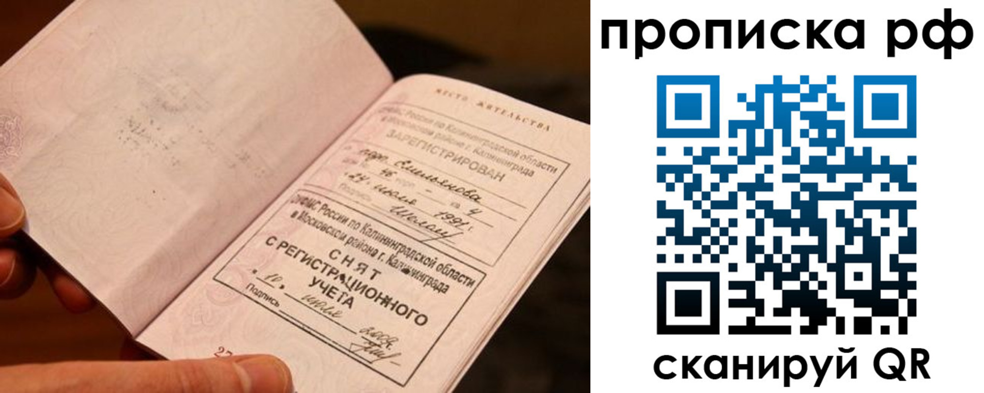 прописка гарантия в Куртамыше
